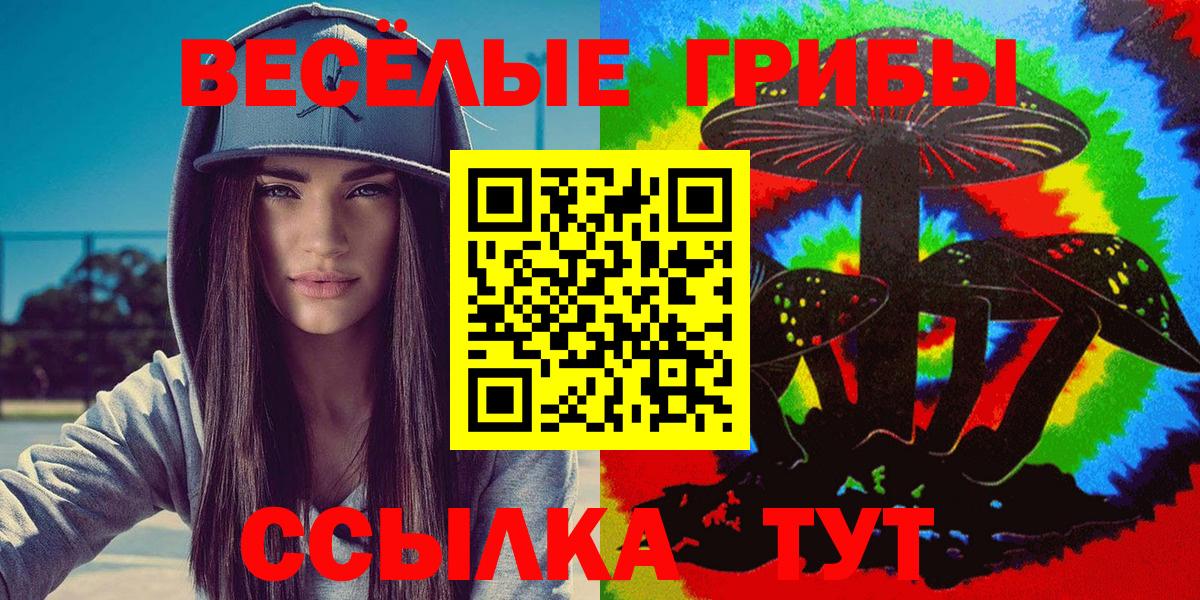 Ахтубинск  Псилоцибиновые грибы GOLDEN TEACHER  Вход с VPN 